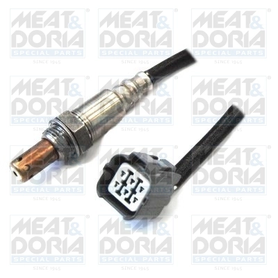 Oxygen Sensor